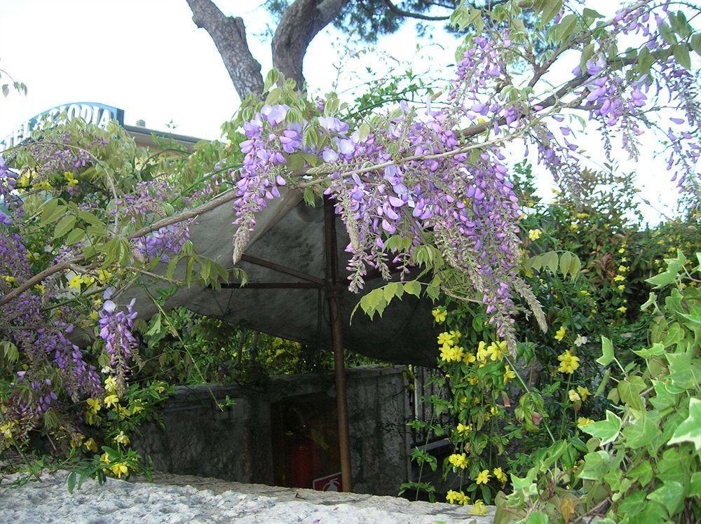 Hotel Villa Pagoda 시르미오네 외부 사진